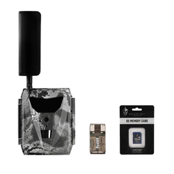 Pack Size – Single