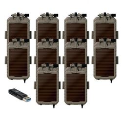 Pack Size – 10-Pack