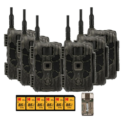 Pack Size – 6-Pack