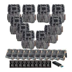 Pack Size – 10-Pack