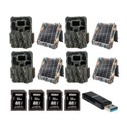 Pack Size – 4-Pack
