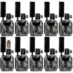 Pack Size – 10-Pack