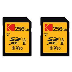 256GB Capacity / Pack Size – 2-Pack (256GB)