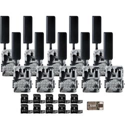 Pack Size – 10-Pack