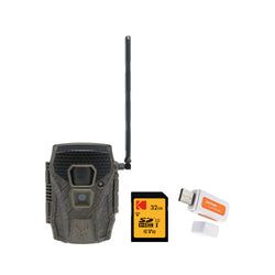 Pack Size – 1-Pack