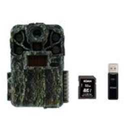 Pack Size – 1-Pack
