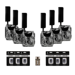 Pack Size – 6-Pack