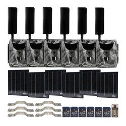 Pack Size – 6-Pack