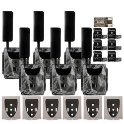 Pack Size – 6-Pack
