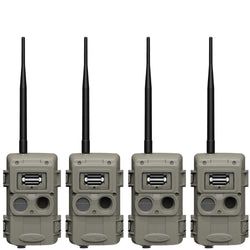 Pack Size – 4-Pack
