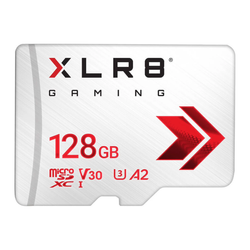 Capacity – 256GB / V30 Gaming