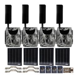 Pack Size – 4-Pack