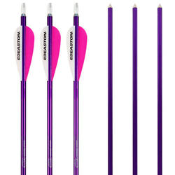 Color – Purple