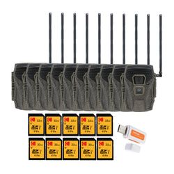 Pack Size – 10-Pack