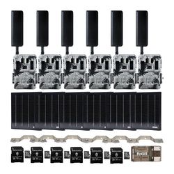 Pack Size – 6-Pack