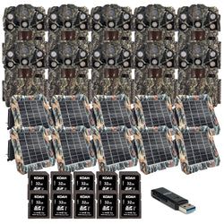 Pack Size – 10-Pack