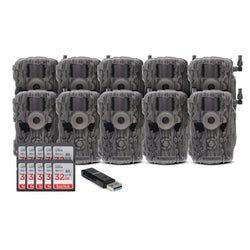 Pack Size – 10-Pack