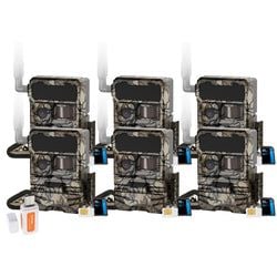 Pack Size – 6-Pack
