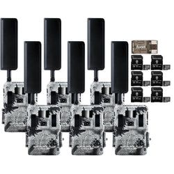 Pack Size – 6-Pack