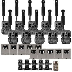 Pack Size – 10-Pack