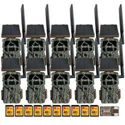 Pack Size – 10-Pack