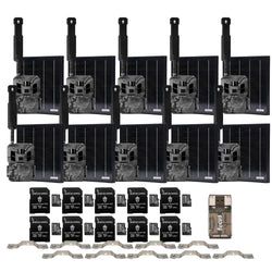 Pack Size – 10-Pack