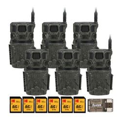Pack Size – 6-Pack