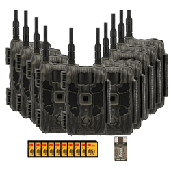 Pack Size – 10-Pack