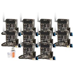 Pack Size – 10-Pack