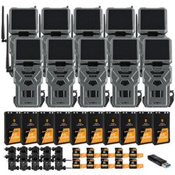 Pack Size – 10-Pack