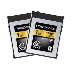 Gold Tier (High Capacity / Pro) – 1TB / Gold (2-Pack)