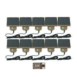 Pack Size – 10-Pack