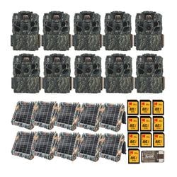 Pack Size – 10-Pack
