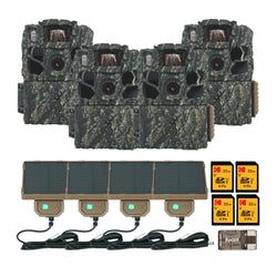 Pack Size – 4-Pack