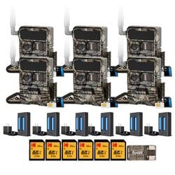 Pack Size – 6-Pack