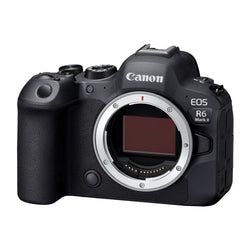 Configuration – Body (Firmware Version)