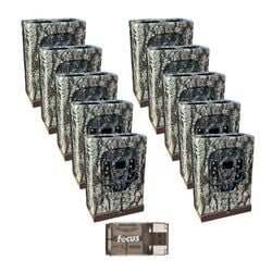 Pack Size – 10 Pack