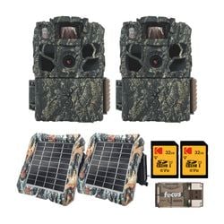 Pack Size – 2-Pack