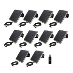Pack Size – 10-Pack