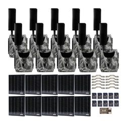 Pack Size – 10-Pack
