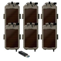 Pack Size – 6-Pack