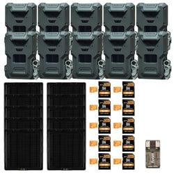 Pack Size – 10 Pack