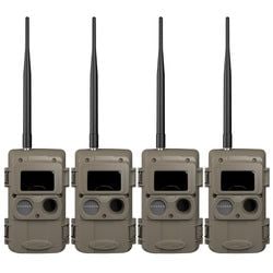 Pack Size – 4-Pack