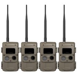 Pack Size – 4-Pack