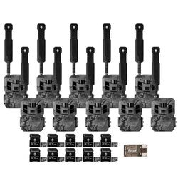 Pack Size – 10-Pack