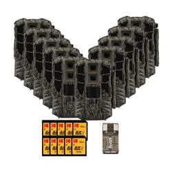 Pack Size – 10-Pack
