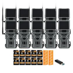 Pack Size – 10-Pack