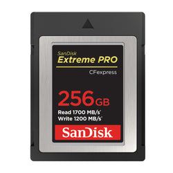 Capacity – 256GB