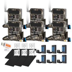 Pack Size – 6-Pack