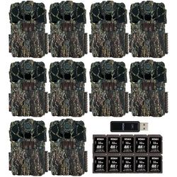 Pack Size – 10-Pack